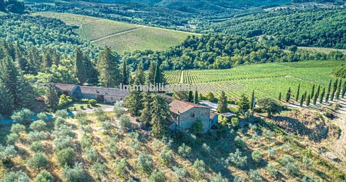 Organic Chianti Classico property