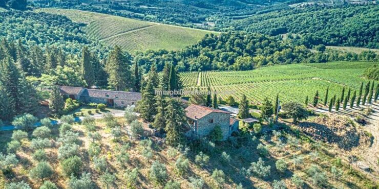 Organic Chianti Classico property