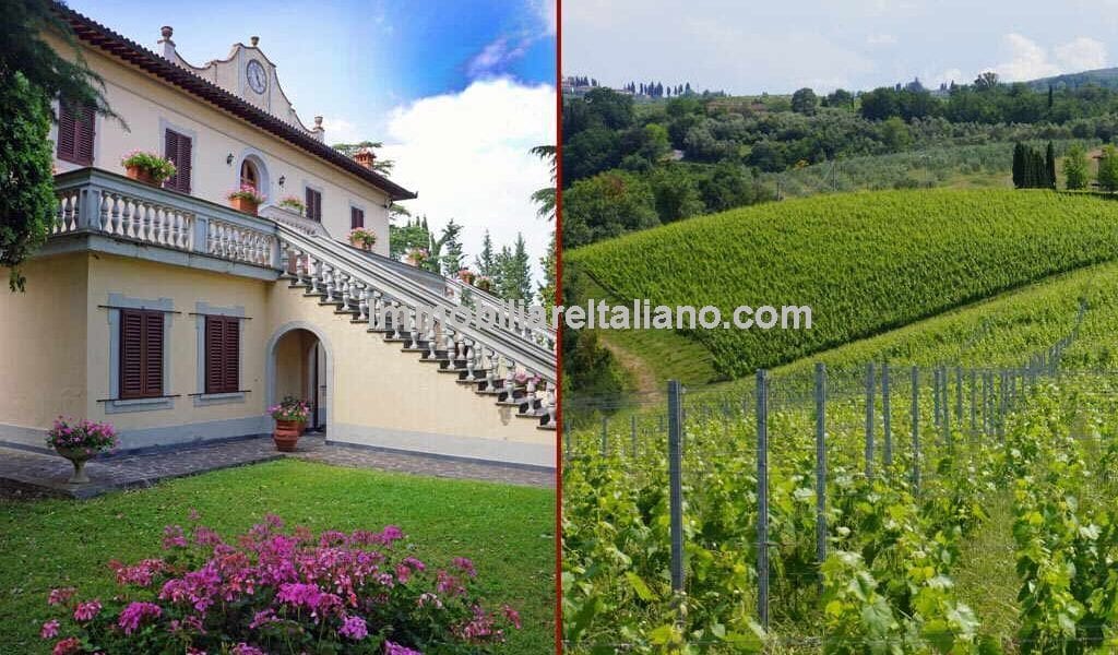 Wine, Olives, Land, Home and Tourist Accommodation