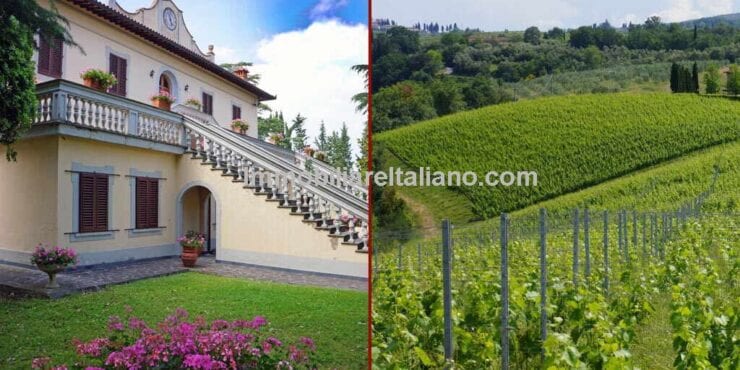 Wine, Olives, Land, Home and Tourist Accommodation