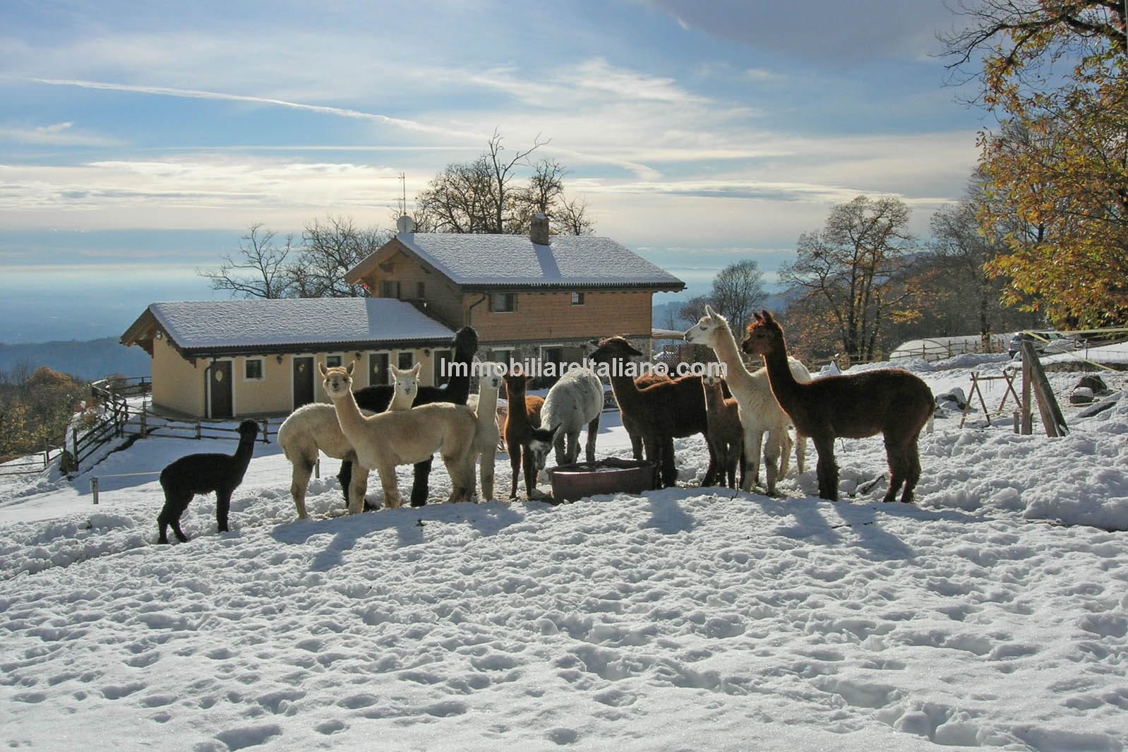 SOLDOasi Zegna Piedmont Property