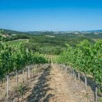 Fully equipped and ideal for the first time vineyard owner is this small wine estate located on the outskirts of a small village (450m; 2’) in the Tuscan Maremma in the province of Grosseto.