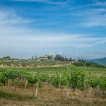 If you are looking for a business opportunity in Italy then this commercial property in Tuscany offers a working wine and olive business with further development potential.