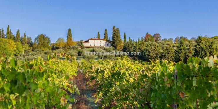 Tourist and farm business Tuscany Italy