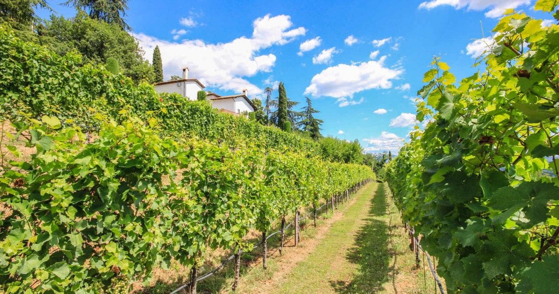 SOLDChange your life – Friuli Venezia Giulia