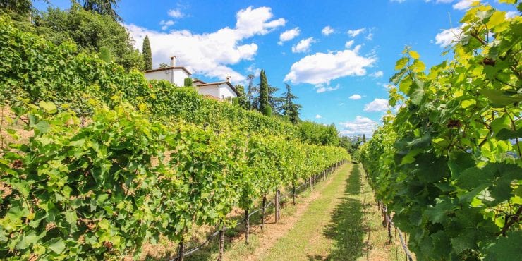 SOLDChange your life – Friuli Venezia Giulia