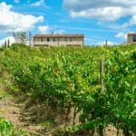 Business Opportunity In Italy - Tourist Accommodation Arezzo Tuscany