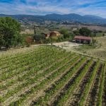 Farmhouse with Vineyard for sale Umbria Italy