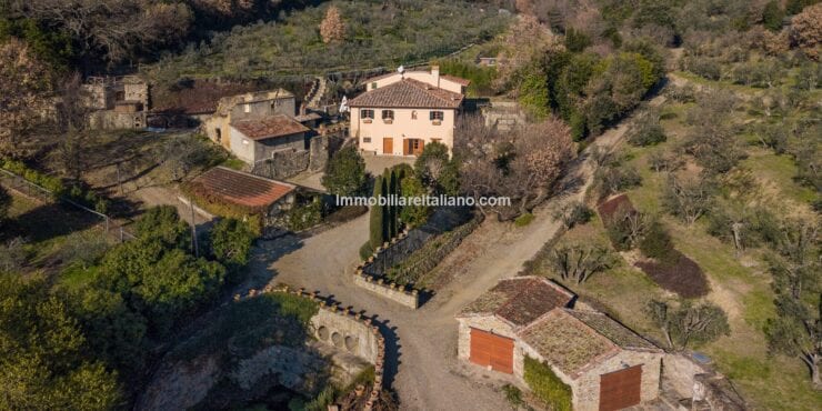 Tuscan country villa, olives, land Castiglion Fiorentino