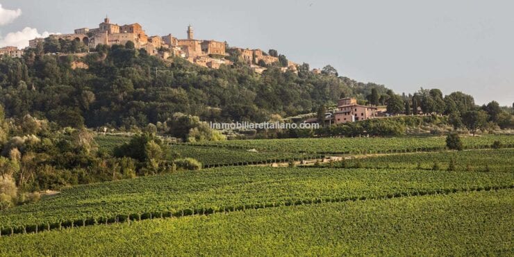 Winery and Agriturismo