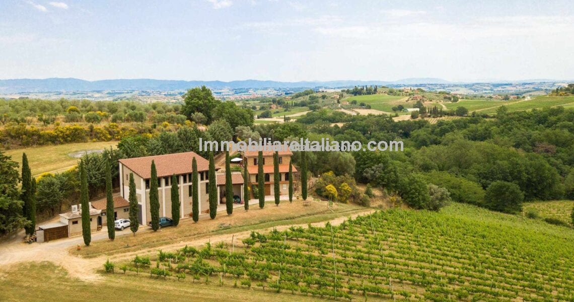 Tuscany Wine Estate Tuscany Wine Estate