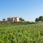 View of Tuscan vineyard estate