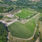 Aerial view of Italian vineyard for sale