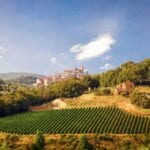 Aerial view of Italian vineyard for sale
