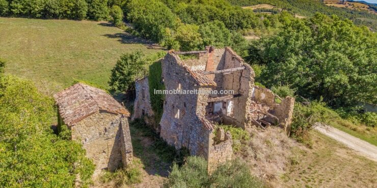Farmhouse and Outbuildings