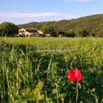View of Tuscan home and income property