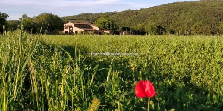 Tuscan Home and Income