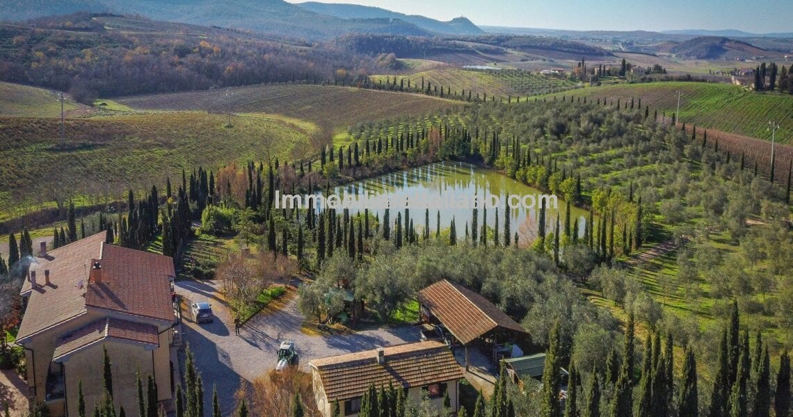 Tuscan Organic Winery