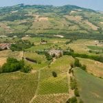 View of Emilia Romagna Wine Estate
