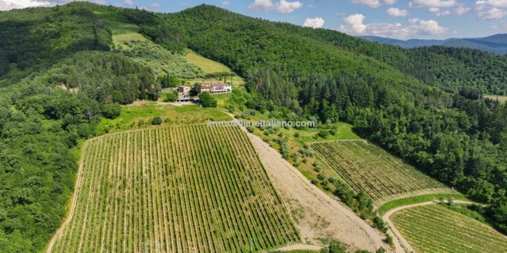 Tuscan Vineyard and Winery