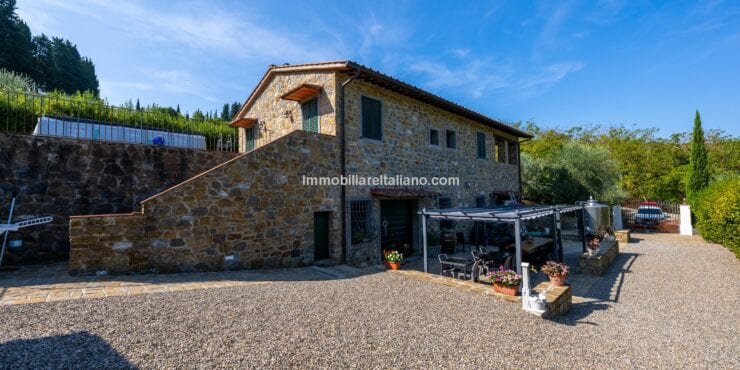 Small vineyard for sale in Italy