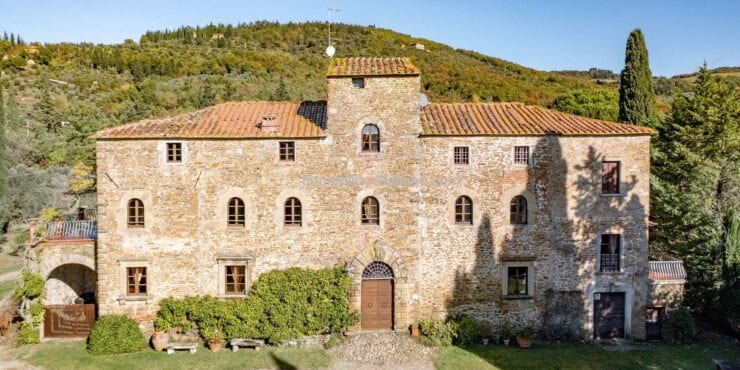 Farmhouse with pool, land and vineyard