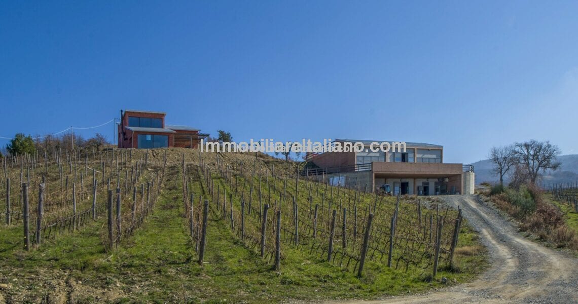 SOLDTuscan Organic Wine Estate