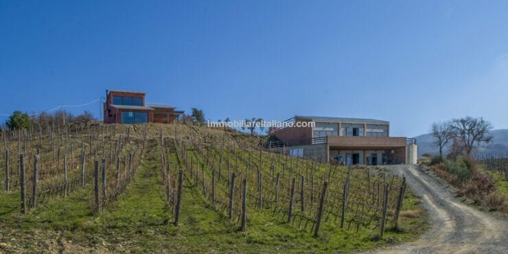 SOLDTuscan Organic Wine Estate