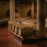 Marche Organic Winery