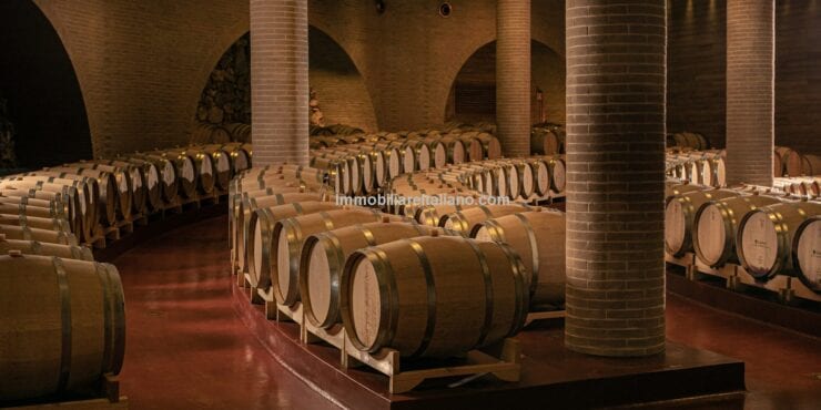 Organic Winery and Villa Estate