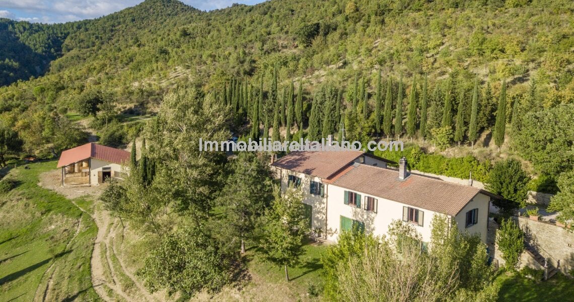 3 Bed Home