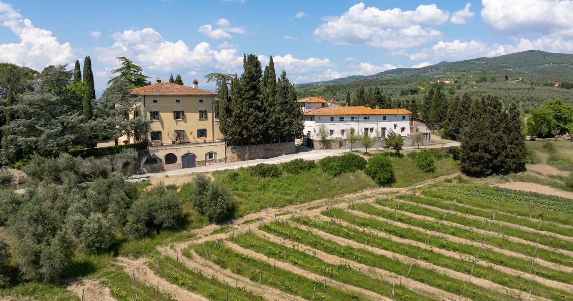 Wine Estate For Sale