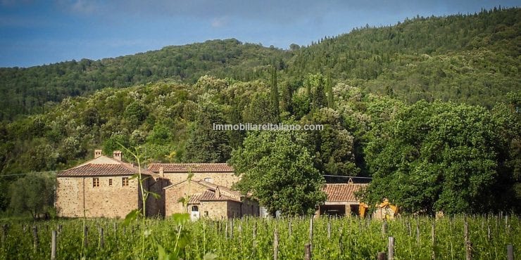 Country Estate Country Estate