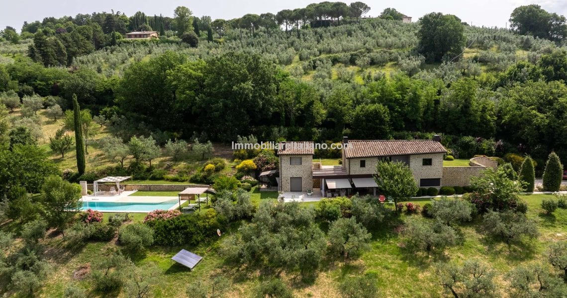 Luxury Home and Income Property