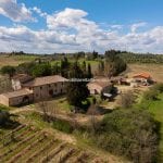View of wine estate and farm, Certaldo Tuscany Italy