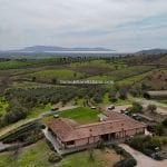 View of Organic wine and olive estate with sea view Ortobello Tuscany Italy