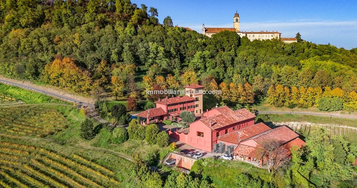 Piedmont Italy Vineyard For Sale