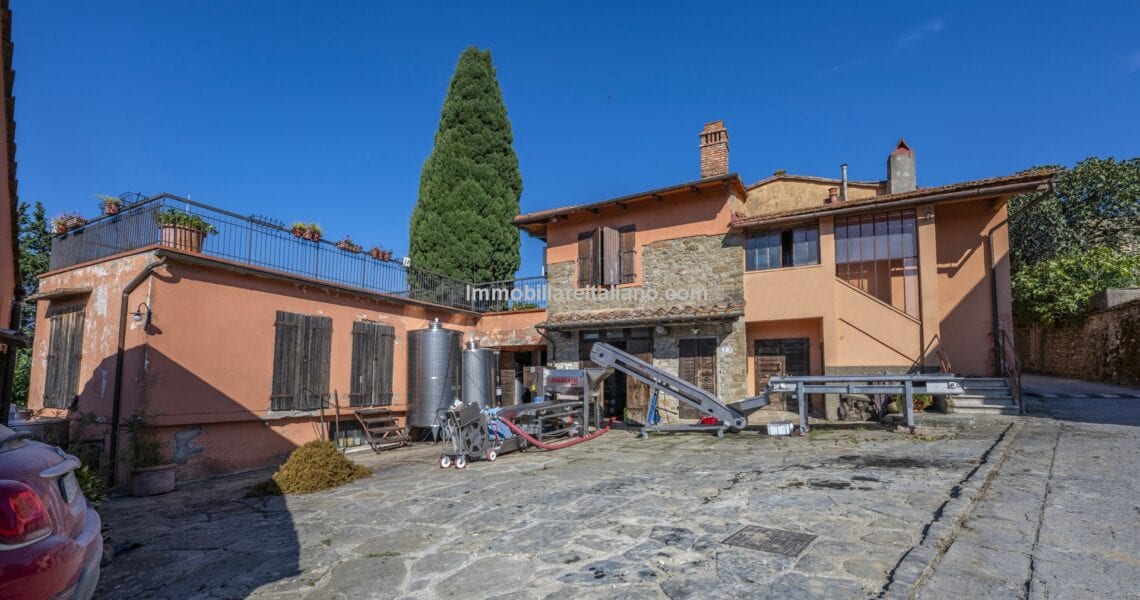 Chianti Vineyard Property