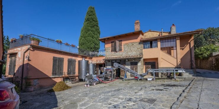 Chianti Vineyard Property