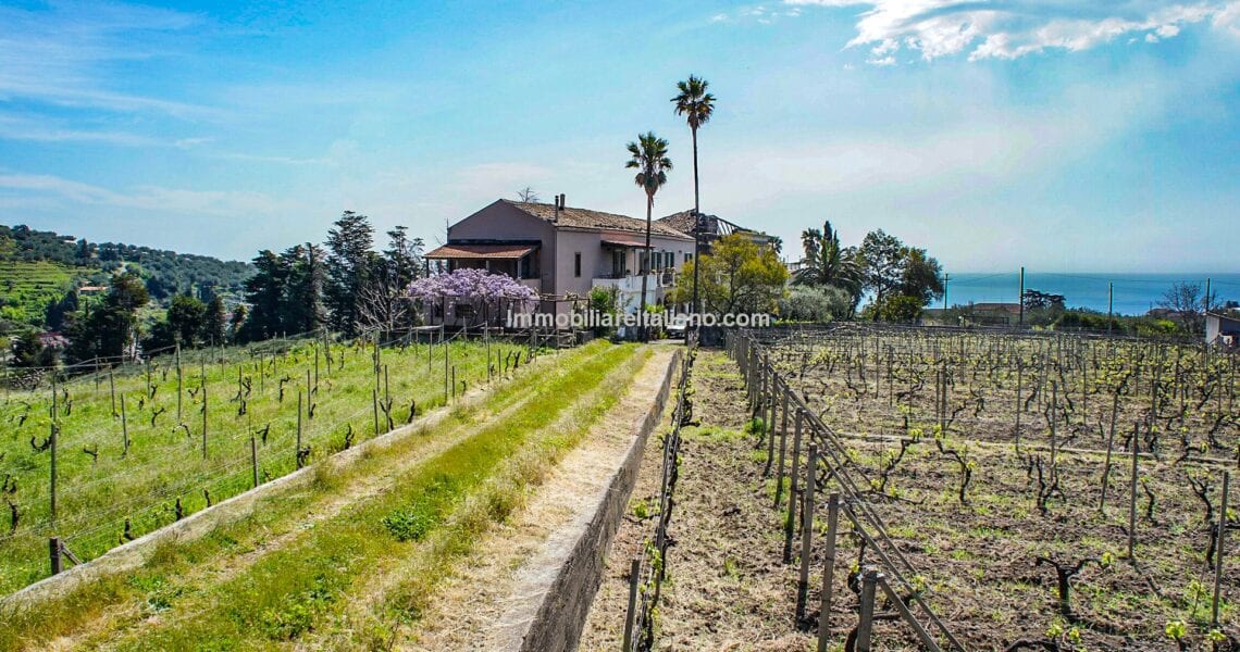 Wine and Farm Estate