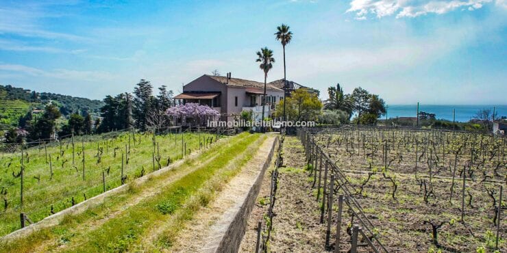 Wine and Farm Estate