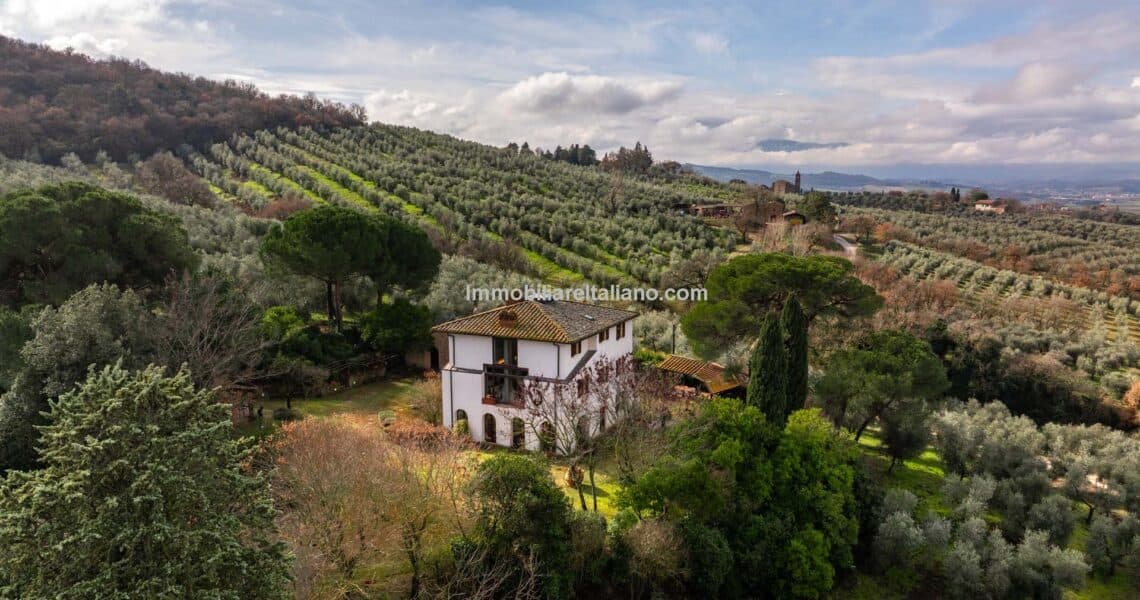 Olive Oil Farm Olive Oil Farm