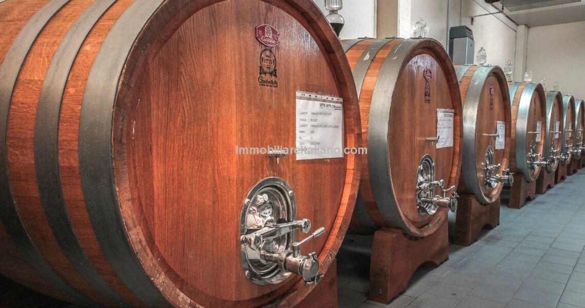 Italy Business – Share of Wine Estate
