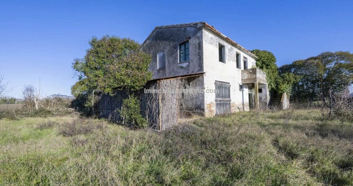 Farm for sale – Marche Development Opportunity