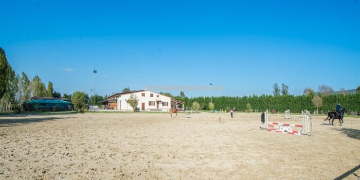 Italian horse property
