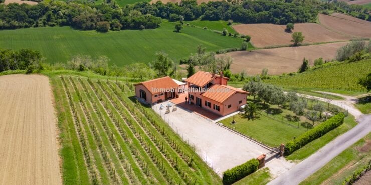 Organic winery for sale