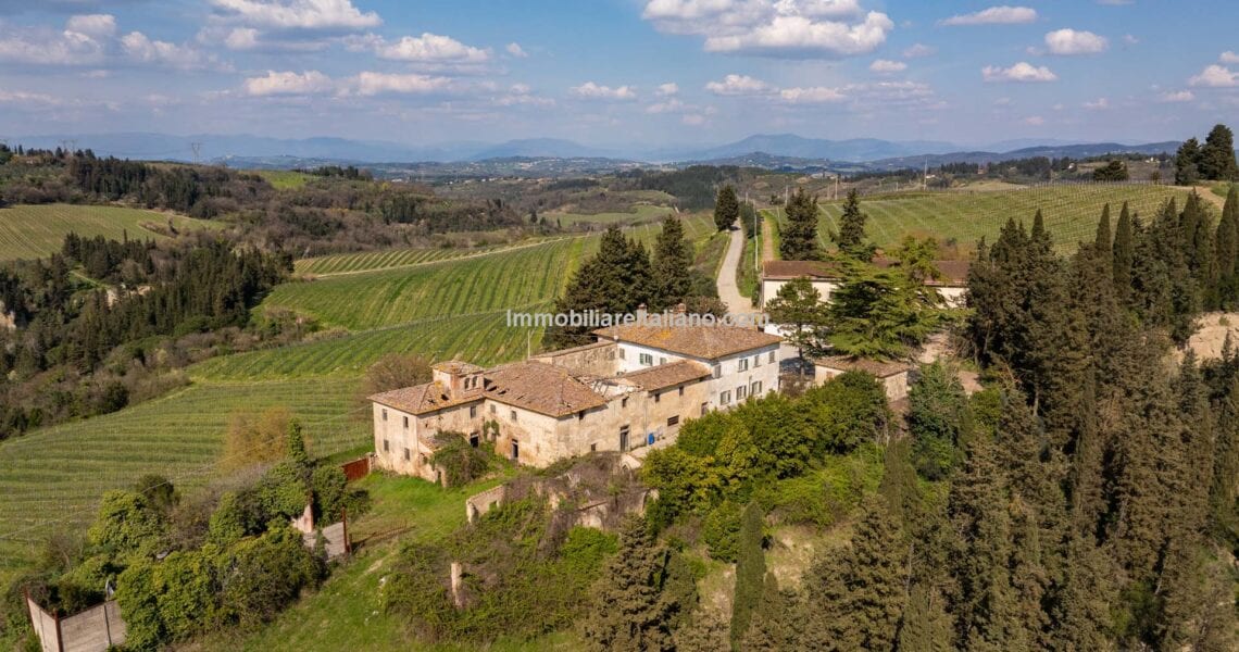 Tuscan Organic Wine Estate Tuscan Organic Wine Estate
