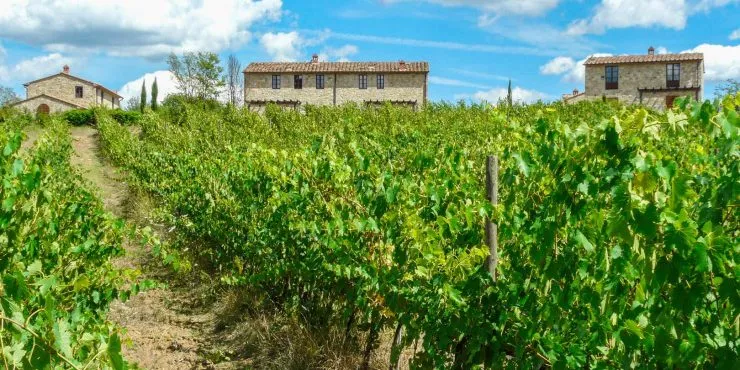 SOLDBusiness opportunities Italy