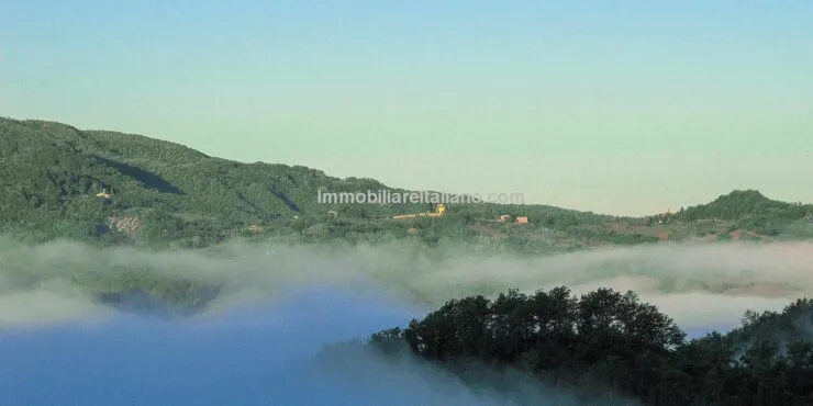 UNDER CONTRACTSporting Estate