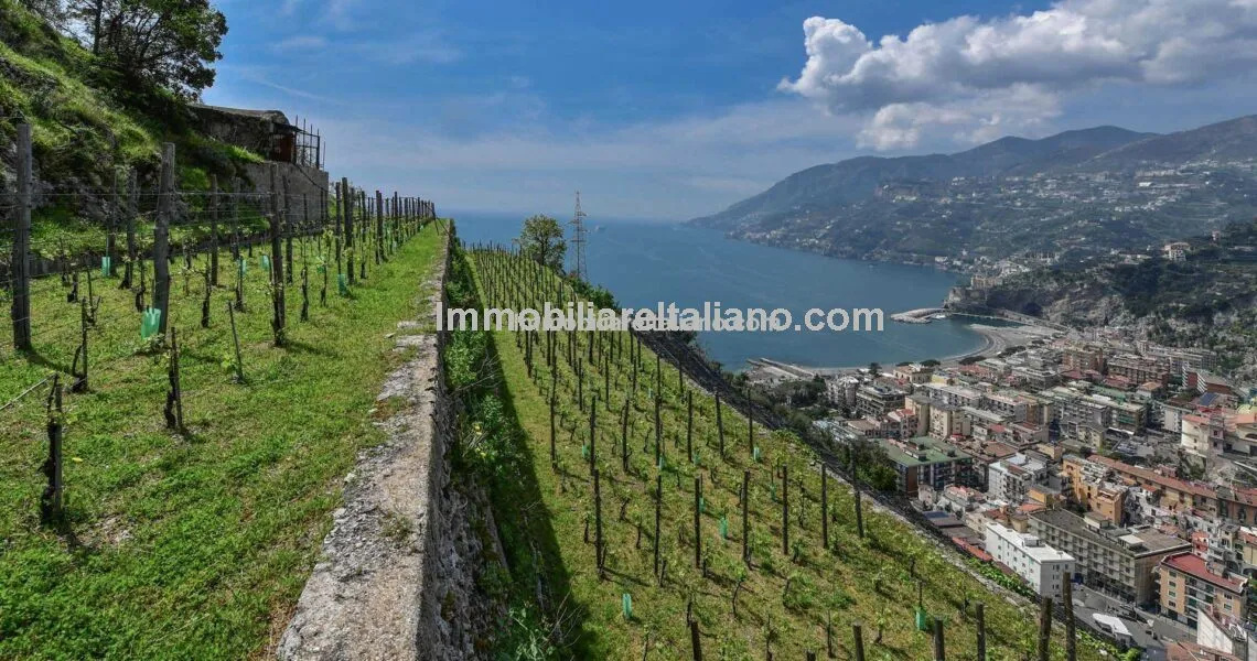 SOLDAmalfi Farm SOLDAmalfi Farm